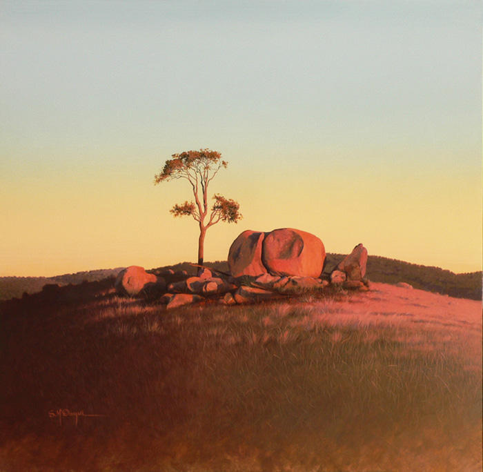 Morning Light, Tenterfield by Scott McDougall | Lethbridge Gallery